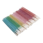 Lip Brush